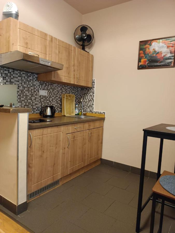 Hotel Msprivat Karlovy Vary Esterno foto
