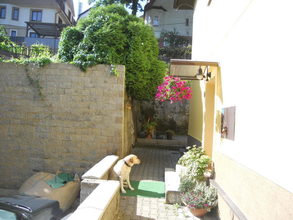 Hotel Msprivat Karlovy Vary Esterno foto